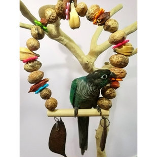 鹉林外传大中小型鹦鹉啃咬玩具纯天然果子秋千缤纷果子秋千鸟用品