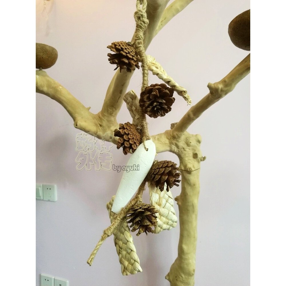 中小型鹦鹉啃咬玩具玉米皮松果组合系列磨嘴咬串玄凤牡丹鸟笼挂饰,宠物/宠物食品及用品,鸟玩具,淘宝优惠券,粉丝福利购,淘宝优惠卷