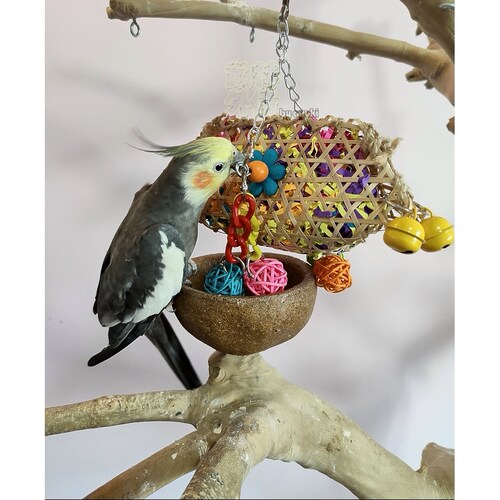 鹉林外传益智鹦鹉玩具啃咬解闷