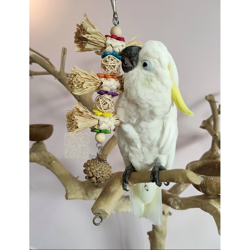 新品推荐鹦鹉啃咬玩具益智稻草人拉菲草松果串绿色健康玄凤牡丹,宠物/宠物食品及用品,鸟玩具,淘宝优惠券,粉丝福利购,淘宝优惠卷