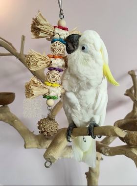 新品推荐鹦鹉啃咬玩具益智稻草人拉菲草松果串绿色健康玄凤牡丹