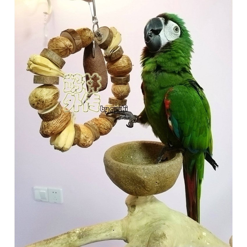 鹉林外传鹦鹉啃咬磨嘴玩具原木果串花环健康安全果子鹦鹉鸟用品,宠物/宠物食品及用品,鸟玩具,淘宝优惠券,粉丝福利购,淘宝优惠卷