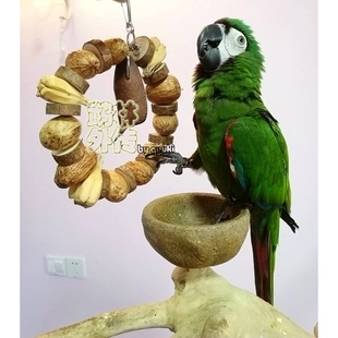 鹉林外传鹦鹉啃咬磨嘴玩具原木果串花环健康安全果子鹦鹉鸟用品