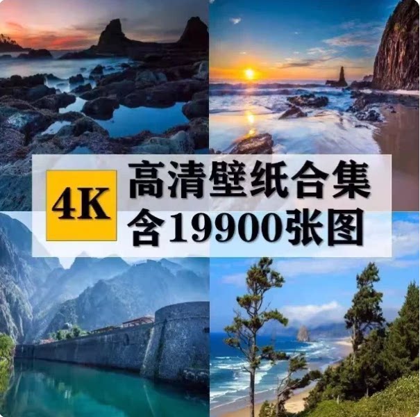 潮牌美式夏季新款男女休闲宽松运动100%纯棉短袖T恤上衣百搭体恤图片