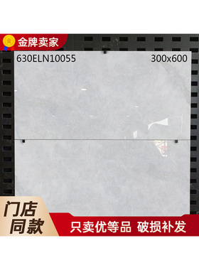 东鹏瓷砖300X600厨卫墙砖63260 63262 63264 63265 63111 63714