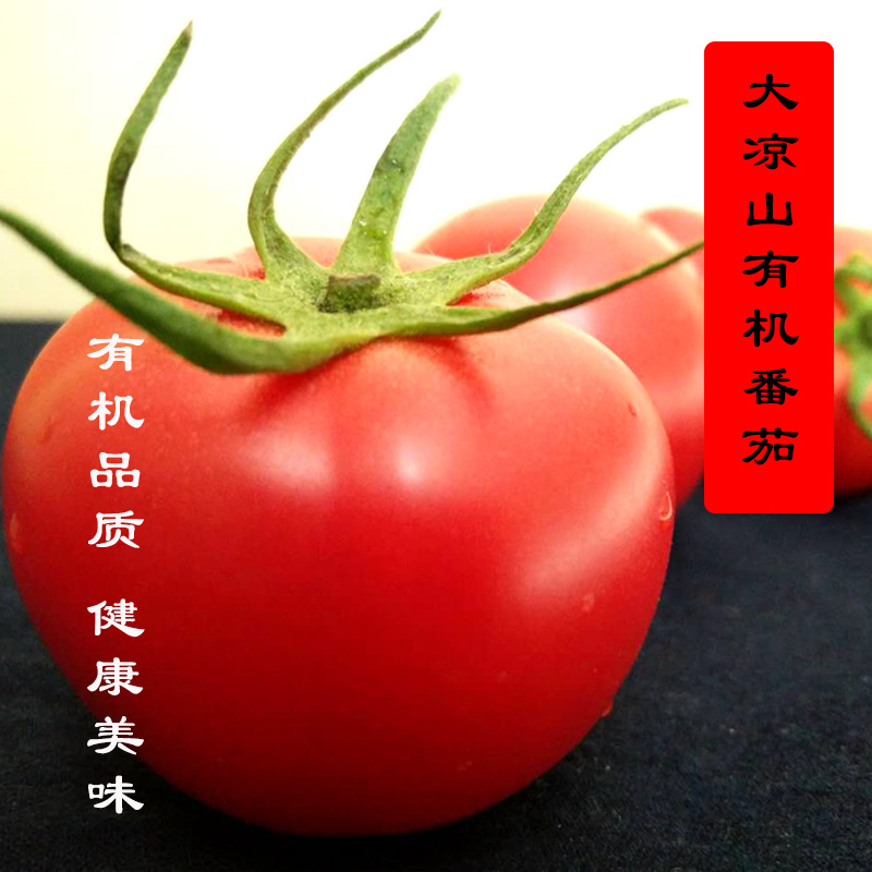 5½ï×°°üÓÊ´óÁ¹É½ÓлúÎ÷ºìÊÁÐÂÏÊ·¬ÇÑ·Çת»ùÒò×ÔÈ»Êì²»´òÒ©»µ°üÅâ
