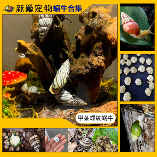 学生科学实验观察教学套装套餐