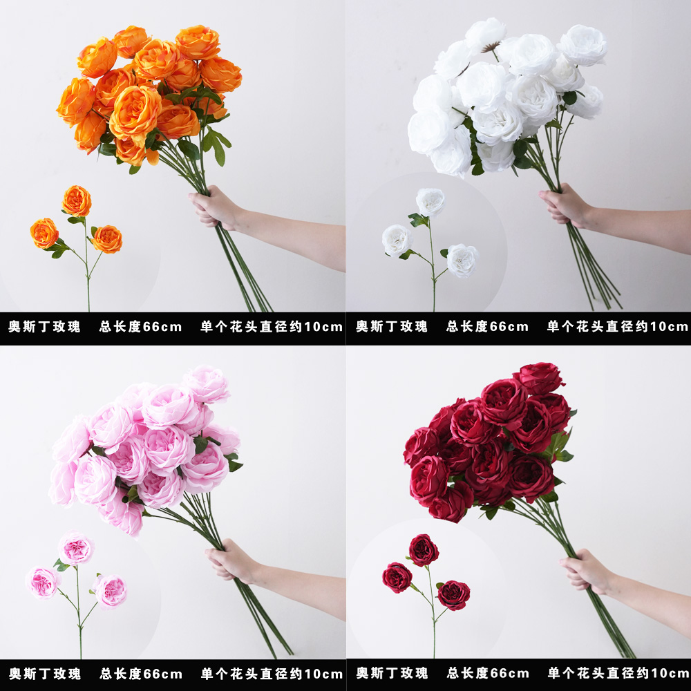 奥斯丁玫瑰欧式复古玫瑰花