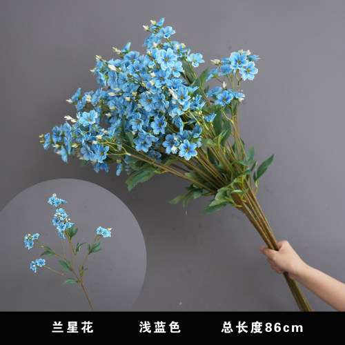 兰星花小众浪漫创意仿真花