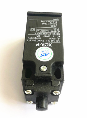 行程开关 限位开关 配电柜门控开关 XCK-P 110-2