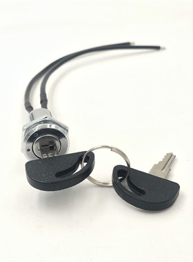 735钥匙开关电源锁电子锁2A125AC 16mmK1605 双拔2脚 加线款15CM