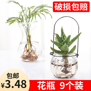 透明玻璃瓶水培植物容器綠蘿養(yǎng)花小花瓶干花插花客廳擺件裝 飾花盆