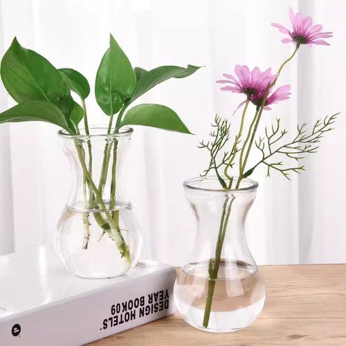 简约玻璃花瓶风信子透明花瓶办公室桌面水培绿萝器皿客厅装饰摆件
