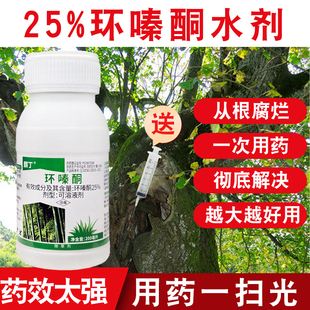 环嗪酮杀竹子除灌木一滴酮树枯根腐针死药铜强力烂根烂树根专用药