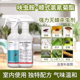 氯氰菊酯灭蟑螂药一窝端蚊苍蝇跳蚤家用室内杀虫剂喷雾 呋虫胺顺式