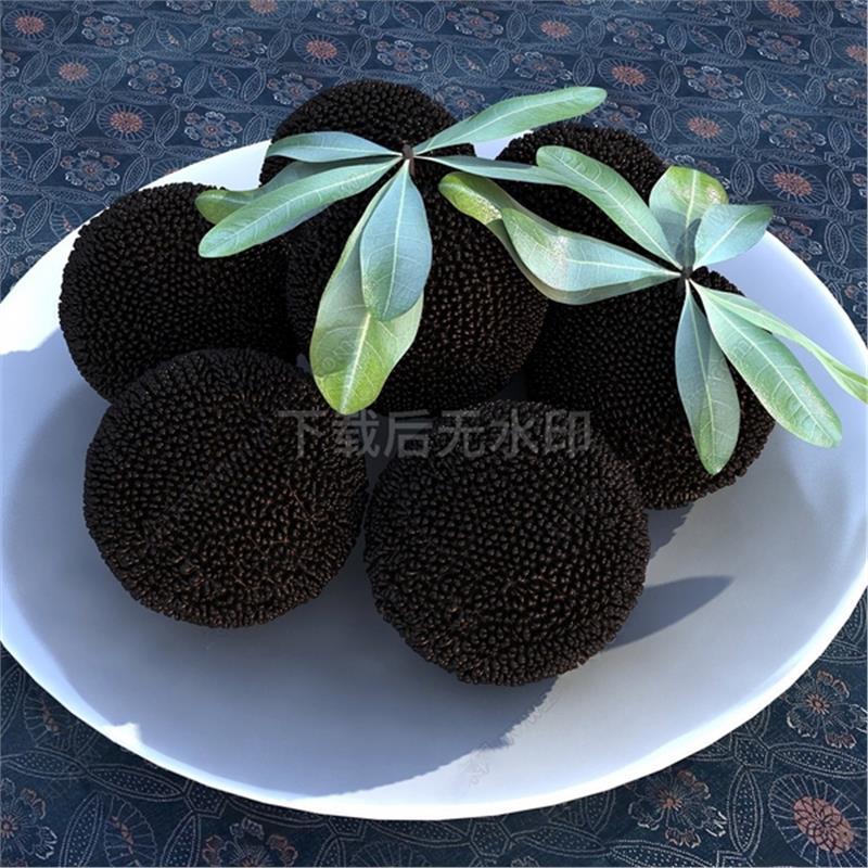 现代水果蔬菜 水果 杨梅 东魁杨梅 水果盘 草图大师SU模型