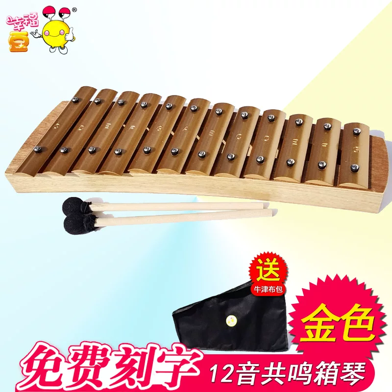 小学生20音铝片琴回音箱12音学生敲琴共鸣底座8音铝板琴音条乐器