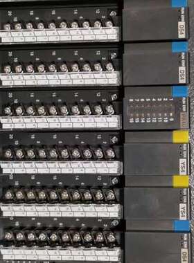 * R3-PS1-LR3-NF1-NR3-YV8SR3议价