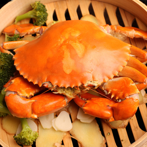 三门青蟹 肉蟹 公母蟹包肥包活大螃蟹三门海鲜2斤起拍