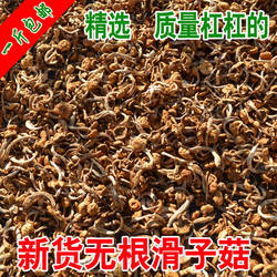新货滑子菇货大兴安岭蘑菇东北特产小鸡黄滑子蘑包邮