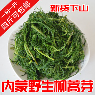 新货东北内蒙古鲜柳蒿芽菜加盐嫩菜真空袋包装可包邮