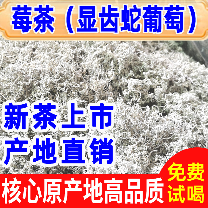 张家界野生芽头莓茶特级芽尖藤茶永顺霉茶显齿蛇葡萄茶九齿蛇葡萄