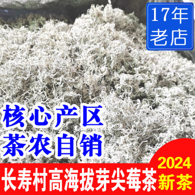 张家界长寿村高海拔龙须芽尖莓茶