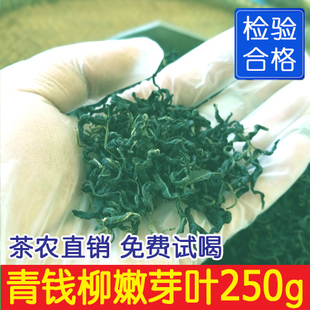 金钱柳原叶茶250g 新茶青钱柳 张家界八大公山清钱柳茶古树嫩芽