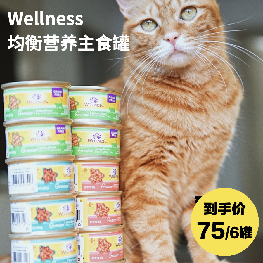 wellness均衡营养系列猫罐头 幼猫成猫罐头猫零食主食肉汤补水