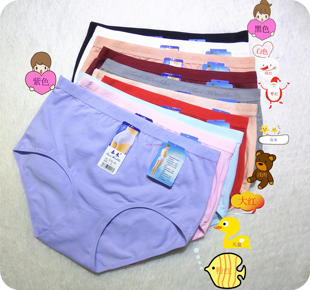 女底裤 正品 泰禾216纯棉舒适收腹提臀中高腰高弹力吸汗透气女内裤