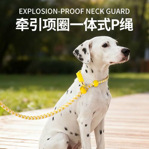 狗狗牵引绳狗绳子训练P绳大中小
