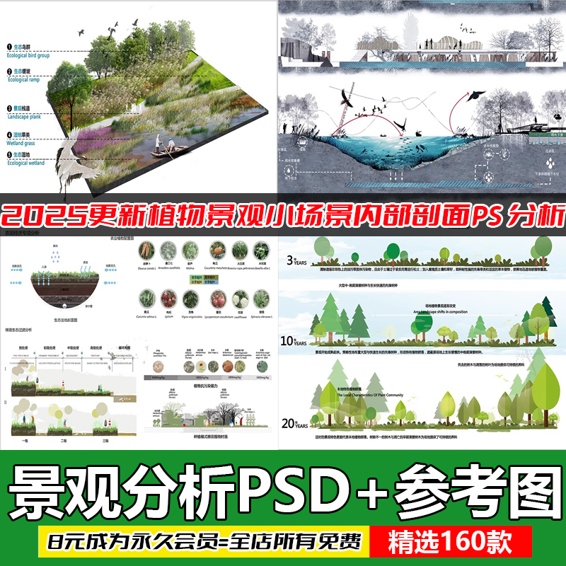 景观园林分析图PSD参考意向区位植物小场景内部剖面分析ps素材库