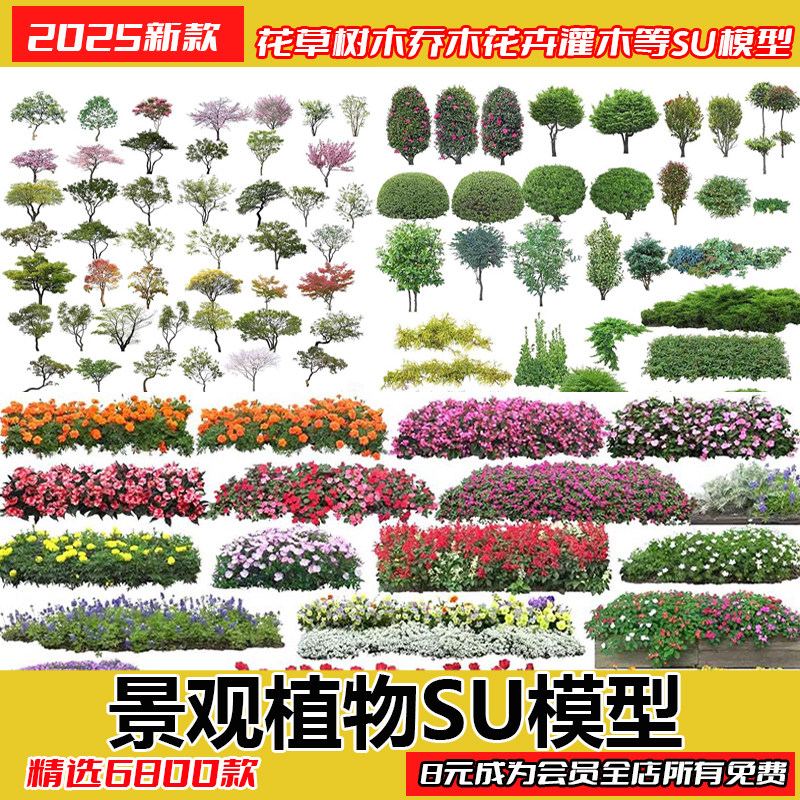 园林景观庭院植物三维真实花草树木乔木花卉灌木草图大师SU模型库