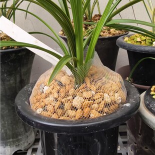 兰香蝶舞兰花盆套网兰花网罩高弹盆防护网套防掉植料中号兰盆网罩