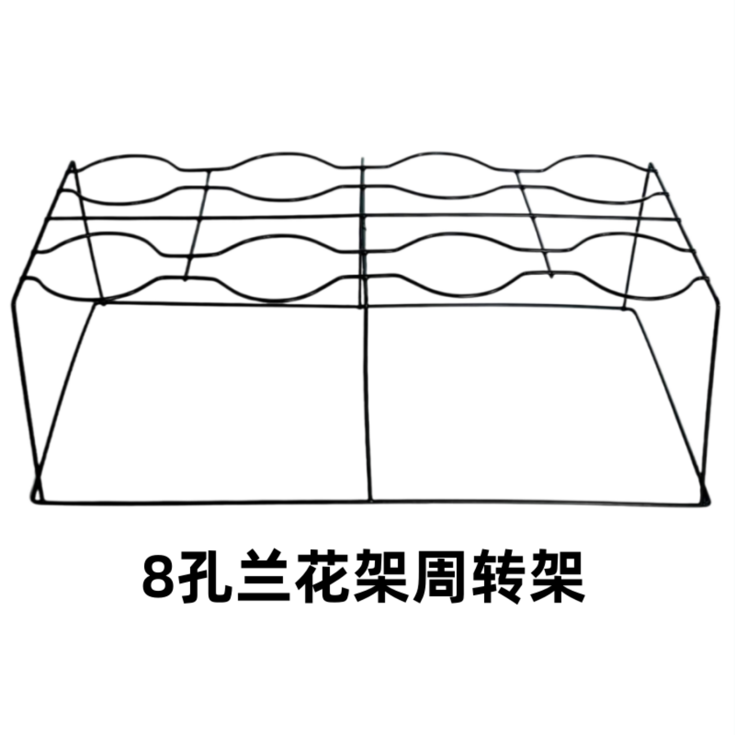 八孔兰花架兰草周转架