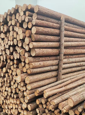 天然带皮杉木杆原木桩树枝树干装饰木杆枯树原木绿化支撑杆