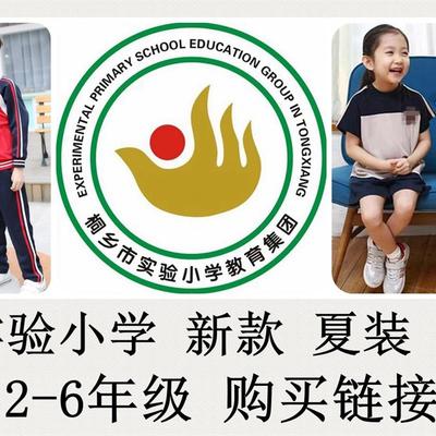 学校制定杭州服饰 桐乡实验小学 2-6年级 夏装 运动装 校服专