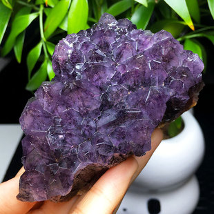 饰摆件 天然紫水晶簇洞块原石矿物标本紫钛簇花手链消磁桌面造景装