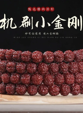 精选机刷小金刚菩提手串108颗佛珠项链男文玩菩提根手链直批