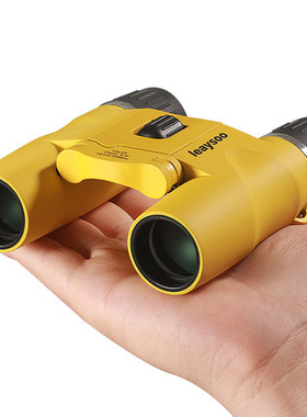 雷龙高清高倍双筒望远镜 微光夜视便携演唱会户外旅行日夜两用