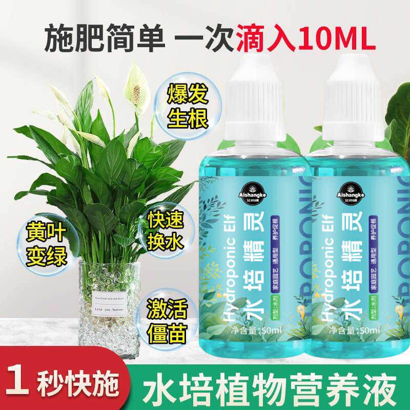 水培植物专用营养液富贵竹转运竹巴西木郁金香黄金葛铜钱草花店肥