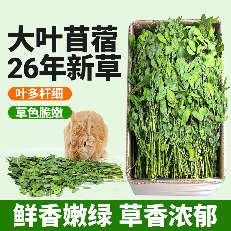 26年紫花苜蓿草干草毛重1kg兔子豚鼠荷兰猪龙猫饲料兔子草粮苜宿