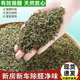 修家用除味茶梗散装 茶叶梗去甲醛装 新房新车吸甲醛铁观音茶叶枝角