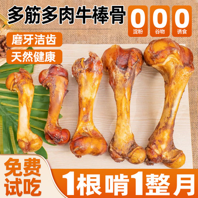 狗磨牙棒牛骨大头洁齿中小型犬
