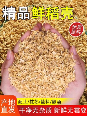 稻壳垫料新鲜谷壳粗糠米糠喂鸡宠物芦丁鸡垫料枕头芯填充酿酒饲料