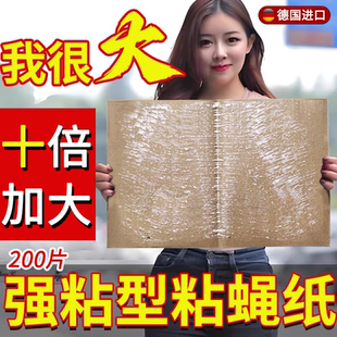 德国苍蝇贴强力粘蝇纸自带诱饵商用大号蚊蝇通灭一扫光大克星无毒