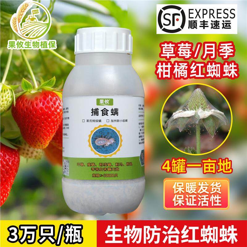 果攸捕食螨 加州新小绥螨草莓月季玫瑰红蜘蛛白蜘蛛天敌袋罐装