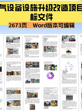 2673.燃气设备设施升级改造项目投标文件