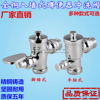 全铜蹲便器冲水阀入墙式脚踏 手按手扳冲洗阀 脚踩手按延时自闭阀