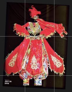 系列 装 鸿舞衣新疆维吾尔族舞蹈服装 艾德莱斯绸裤